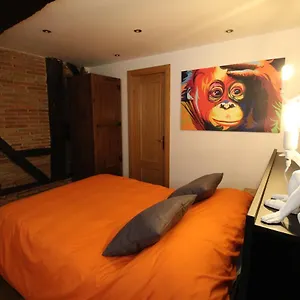 Monkeys House. Appartement